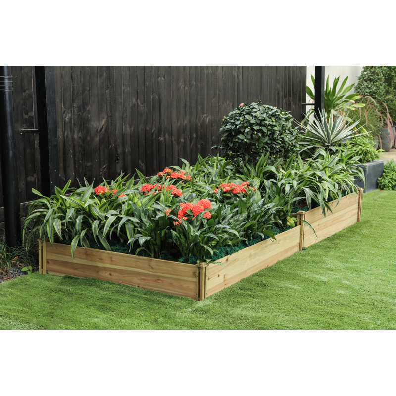 Sarah-Jayne Wood Raised Garden Bed