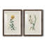 Cadre traditionnel traditionnel Premium Botanical III - prêt à être suspendu-951944682-951944677