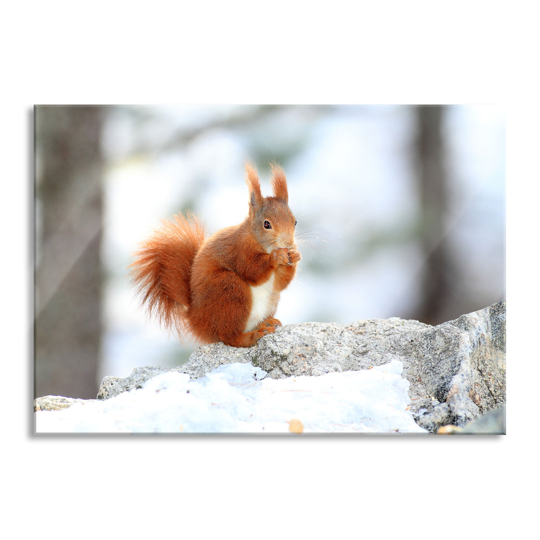 Glasbild Eichhörnchen im Schnee