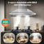 Hotte murale 24 pouces en acier inoxydable