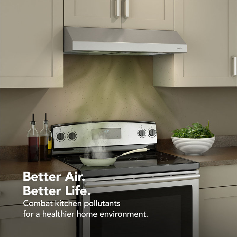 Broan 42-Inch Stainless Steel Convertible Under Cabinet Range Hood