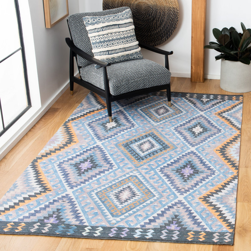 Blaire Hand Woven Southwestern Indoor/Outdoor Rug, Rectangle 4' x 6'