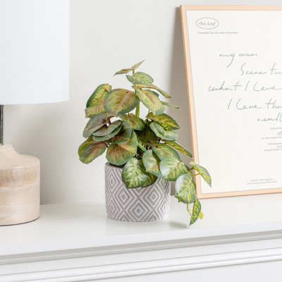 Artificial Plant