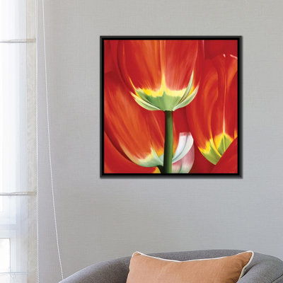 «Most Beautiful Tulip I», impression sur toile