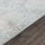 Maxence Power Loom Gray/Ivory Rug-686300530