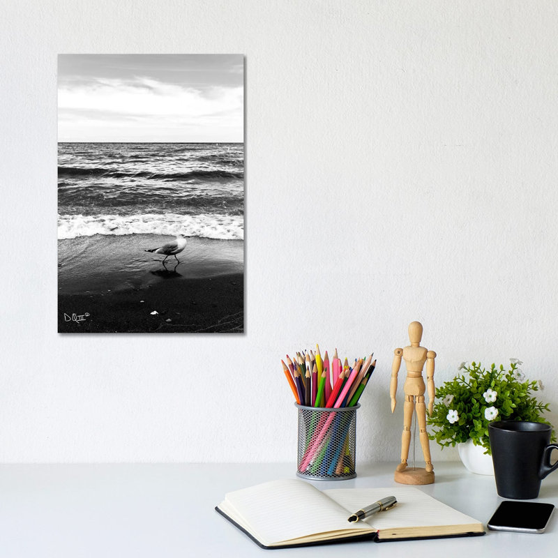 Seagull I by Donnie Quillen - Print on Canvas, 30.48cm H x 20.32cm W x 1.91cm D, Wrapped Canvas