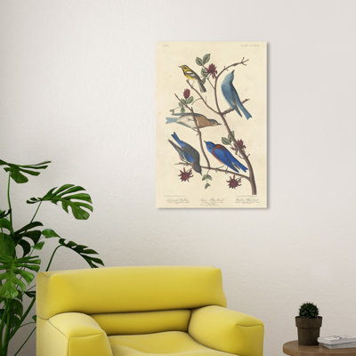 Animaux, reproduction d'art sur toile «Blue Birds Traditional Blue» par Robert Havell