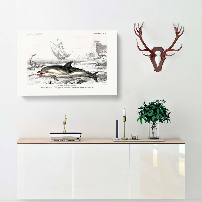 Beached Dolphin by Charles D' Orbigny - Wrapped Canvas Painting, 40cm H x 60cm W x 3cm D