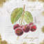 « jardin trésors iv », impression sur toile-20828353-73154073-73154078