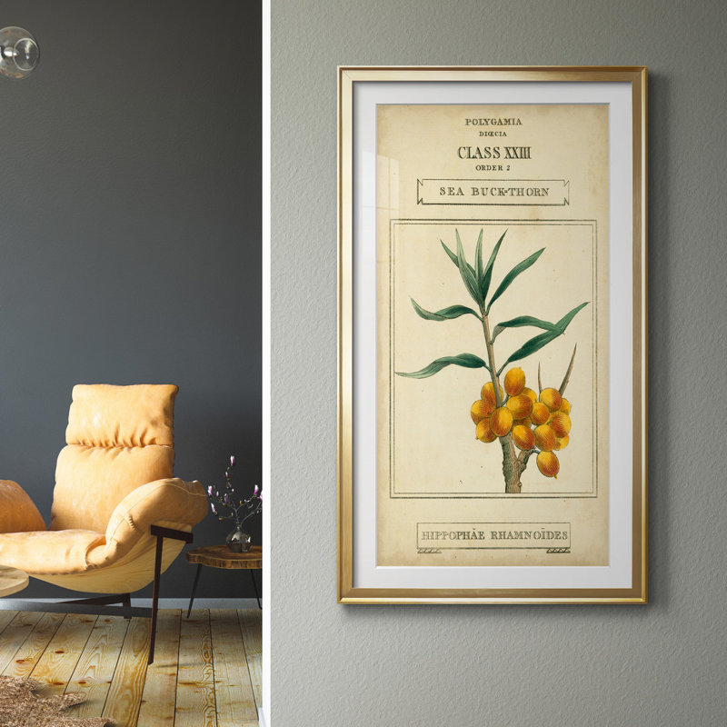 Linnaean Botany III - Peinture sur toile encadrée, H 22,5 po x l 42,5 po x P 1,5 po, Doré