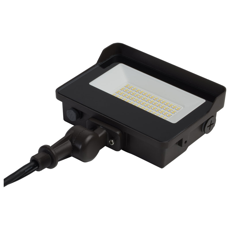 LED Flood Light