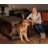 Plastic Collapsible Pet Crate with 4 Doors-11153466-11153467