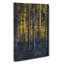 Sunlight Forest Vol.3 - Wrapped Canvas-61837667