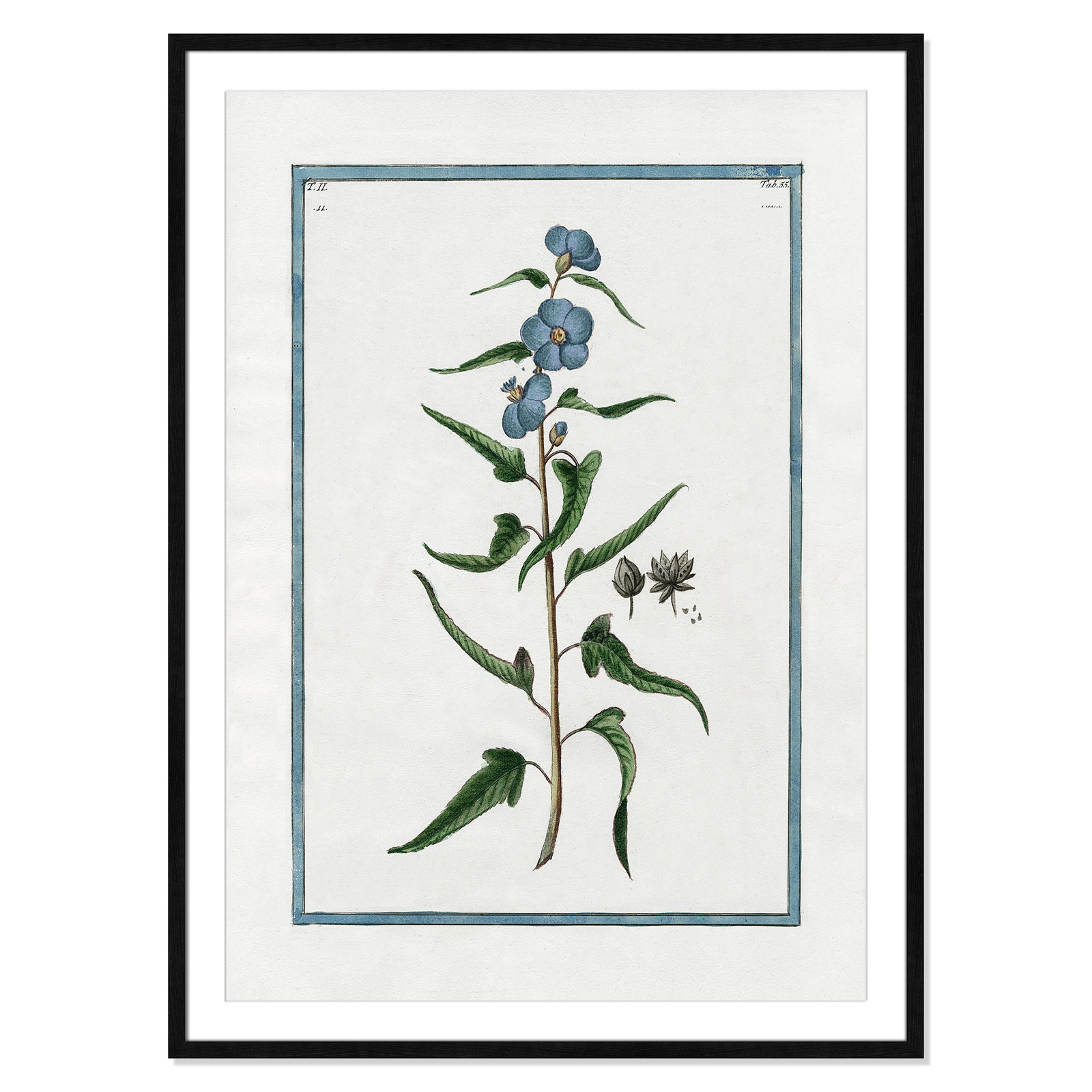Shabby Elegance Botanical I - Framed Art Full Bleed, Black Framed, 29.5" W x 41.5" H
