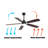 Keagon 52'' Ceiling Fan with LED Lights