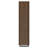 Rodger Walnut 3-Shelf Cabinet Bookcase