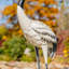 Statue de jardin Keelen