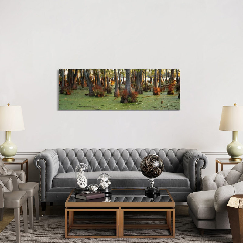 Bald Cypress Trees (Taxodium Disitchum) in a Forest, Illinois, USA 1 Piece Wrapped Canvas Panoramic Wall Art