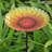 Clous Glass Mosaic Birdbath