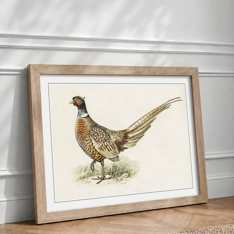 Ring - Necked Pheasant by Von Wright - Framed Print, Oak, 33cm H x 45cm W x 2cm D
