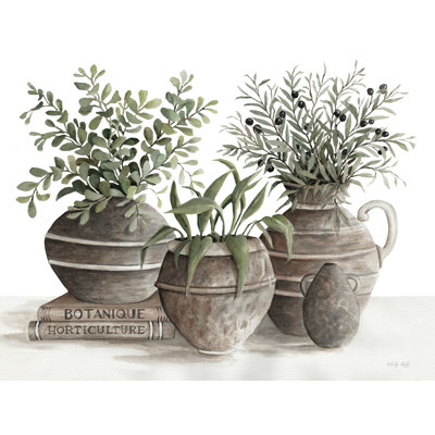 Vase Collection I par Cindy Jacobs