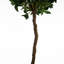 Anlin 120cm Faux Bay Tree in Pot