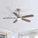 Derick 52'' 5-Blade Modern Ceiling Fan with LED Light and Remote Control