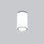 Kronn 1-Light Flush Mount-3365968