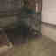 Photos des clients 5 de 5