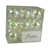 Clear Iridescent Shiny is unavailable