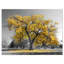 « big golden tree », reproduction de photo sur toile tendue-29503394
