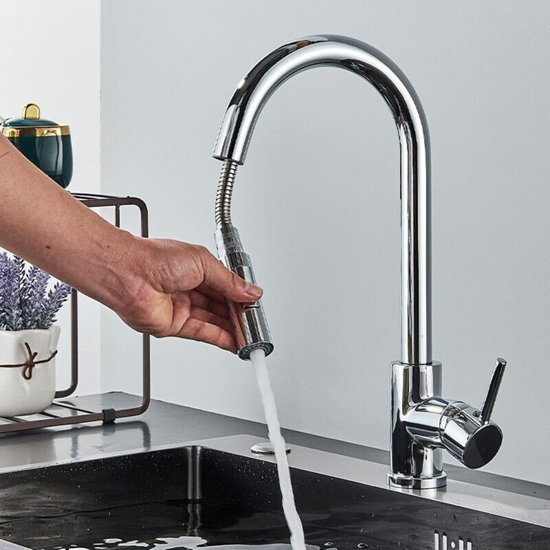Belfry Kitchen Waldron Pull Out Kitchen Faucet