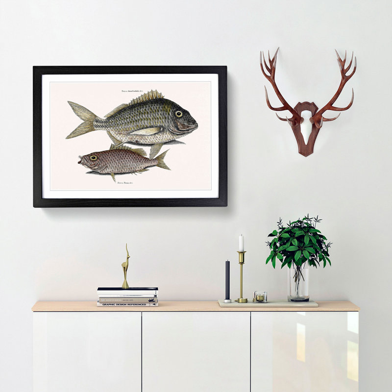 Pork Fish and Schoolmaster Fish by Mark Catesby - Picture Frame Painting Print, 48cm H x 65cm W x 2cm D, Black Framed