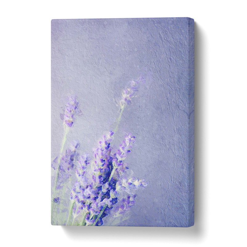 Pretty Purple Lavender - Wrapped Canvas, 50.8 cm H x 35.6 cm W