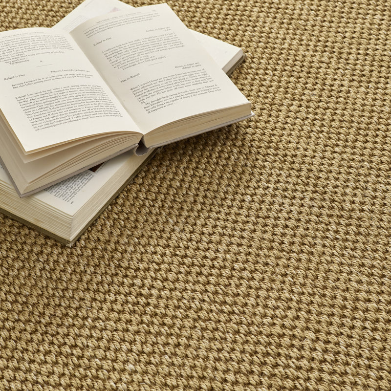 Lawaun Jute / Sisal Hand Braided Area Rug, Rectangle 120 x 170cm