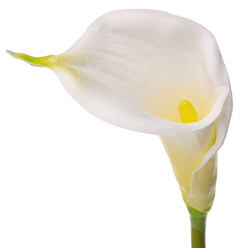 Tige de lis Calla 28 po Real Touch 