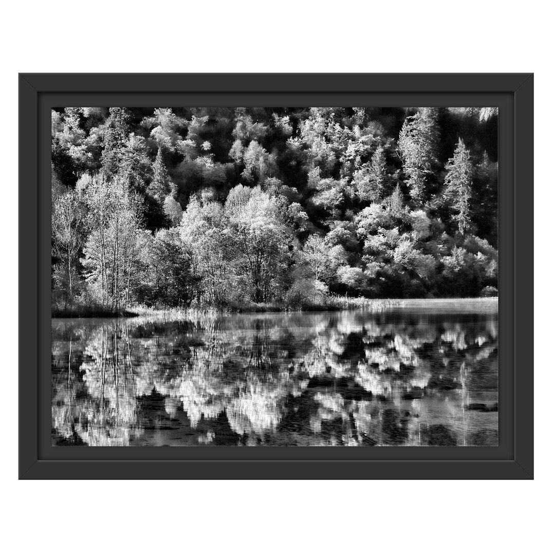 Gerahmter Fotodruck Autumn Lakeside Forest