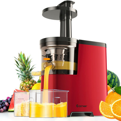 Costway Slow Masticating & Cold Press Juicer