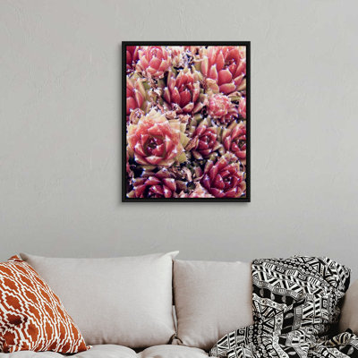Reproduction d’art sur toile, "plantes grasses rouges" par Urban Epiphany