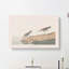 Semipalmated Sandpiper by John Audubon - Wrapped Canvas-55330633