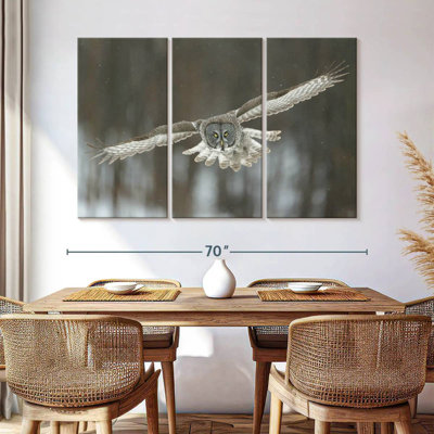 Flying Great Gray Owl