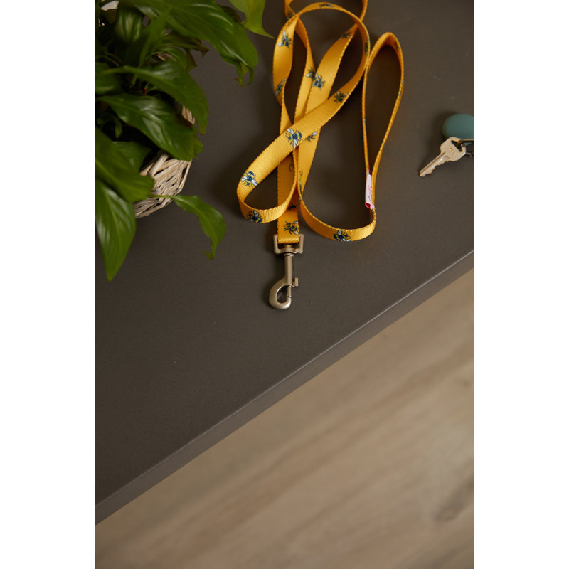 Busy Bee Printed Pet Lead S