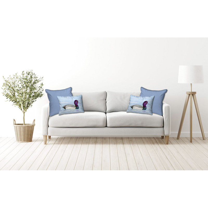  Coussin décoratif intérieur / extérieur Lesser Scaup, H 16 po x l 20 po x P 6 po