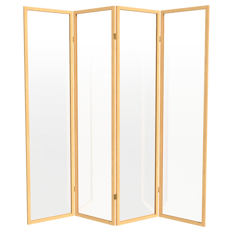 Cloison en plastique transparent Alayzhia, 6, Naturel, 6 pi