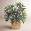 West Palm Faux Philodendron Plant in Cement/Bamboo Planter