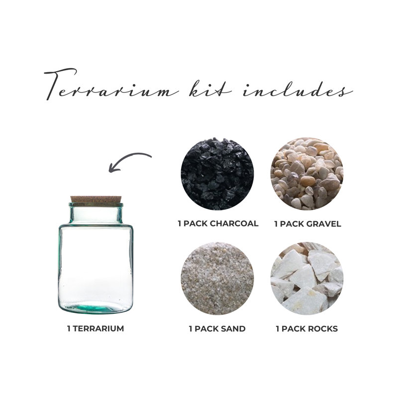 Wismar Glass Terrarium