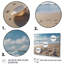 Seaside Seashell Treasures III - impression-88548555-88548559