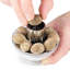 Salt & Pepper Mill