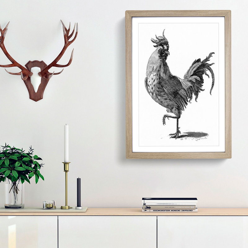 A Cock in Black and White by Johan Teyler - Framed Print, 33cm H x 24cm W x 2cm D, Oak Framed