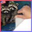 Tapis de bain Family of Raccons-1070724085